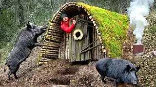 Building a Dugout for Survival in a Wild Boar Den. Shelter under Roots. Bushcraft
