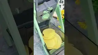ROMINO Vegetable Chopper - Vegetable Cutter - Mandoline Slicer - Vegetable Cutter for Kitchen #short