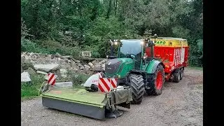 Affouragement vert en Fendt 311 Vario