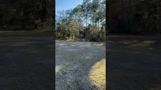 PSA 10.5 #random #shoot #cod #viralvideo #fyp #running #robbery #trending