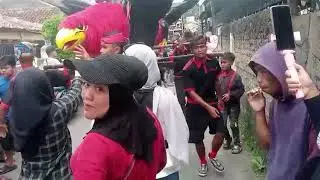 SUNDAAN IGELAN RAJAWALI CENGOZ TEAM DI CUTA MUDA 💃🦅‼️