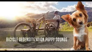 Bicycle Desensitization Puppy Sounds