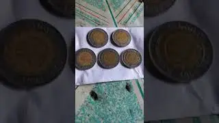 rdc coin and collectibles