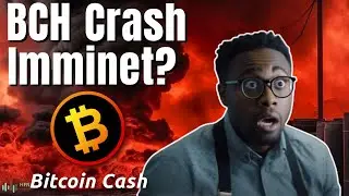 Bitcoin Cash Price Prediction - Is BCH Crypto About To Crash Below $200? BCH Coin News