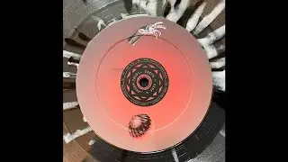 Wave Particle Singularity - The Mind-Body Problem [ZNGBRLTDX01]