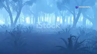 Unleash the Legend -Sasquatch Watch Radio