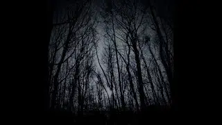 I lost us - stillveil