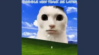 Cat Mood No Big Deal
