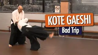 KOTE GAESHI - Bad trip (Aikido Iwama)