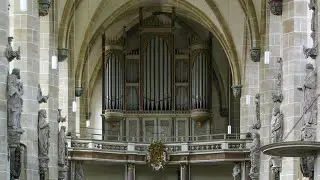 Wäldner-Orgel im Dom zu Halle vor der Restauration 2017