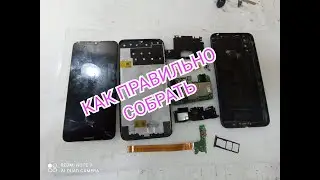 Huawei Y7 2019 года сборка