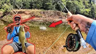 Fly Fishing for Creek Smallmouth Bass! (First time fly fishing!)