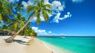 Relaxing Tracks for an Oceanfront Chill #music #relaxing #calming #soothing #sounds