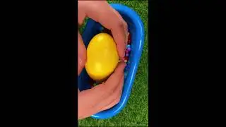 Colorful ASMR Bliss | Bouncy Balls, Hand Movements & Tactile Delights
