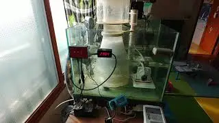 modification final ver. for Needle wheel pump (jebao DCT 8000+skimz needleWheel+DIYventuri)