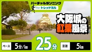 バーチャルランニング 大阪城 ペース5分/km 紅葉シーズン