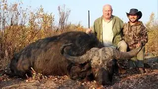 Monster Cape Buffalo Hunt in Namibia