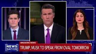 Trump & Elon Musk Press Conference: Is Trump-Musk Drama Media Hype or Real?
