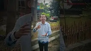 SD Awliya dan Pengalaman Belajar Mendalam Kurikulum Merdeka