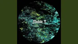 Modulo D