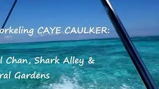 Snorkeling Belize: Hol Chan, Shark Alley and Coral Garden