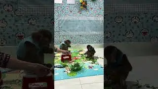 Monkey Sam & Asher love to eat raw vegetables #shorts