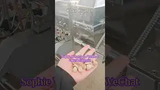 Koko Krunch Cereal Chocopic Cereal Chocolate Breakfast Cereal Cocoa Pops Machine #extruder #factory