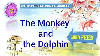 The Monkey and the Dolphin | Motivational Moral stories | Tamil | Book feast