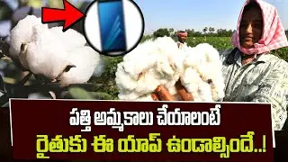 Shock to farmers..! CCI new rule for cotton sales | Cotton Sales Rule | E6 TV