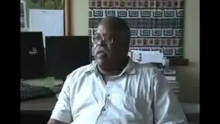 African-Americans in 20th Century Advertising Part 3 of 3