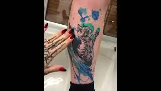 Cat Tattoo Journey: From Fresh Ink to Healed Perfection by Ary Lilith
