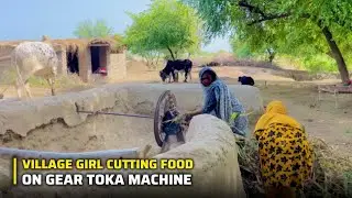 Pakistani Girl Cutting Fodder With Gear Toka Machine | Punjabi Girl Routine Work