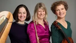 Beau Soir Ensemble performs for the Howard County Library System
