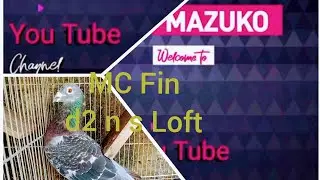 01 MC Arthur Finisher asa Loft na