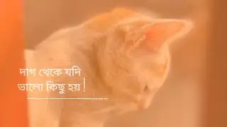 দায়িত্বের ছাপ, অন্য চোখে..