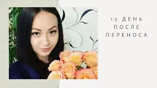 ЭКО. 15 день после переноса.