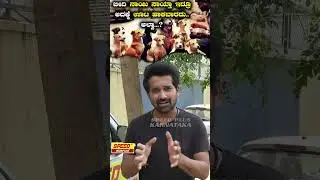 #bengaluru #bbmp #StrayDogMenace #BBMPNegligence #doglover #instagood | Dog Feeding |