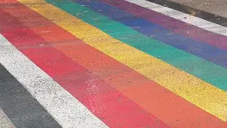 WATCH IT LIVE: Rainbow Crosswalk Removal