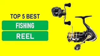 Best Budget Fishing Reel 2026