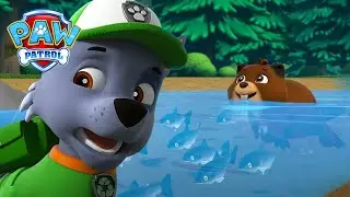 Redning af dyr! L&aelig;r om dyrene i Adventure Bay - PAW Patrol P&aring; Dansk Tegnefilm for b&oslash;rn