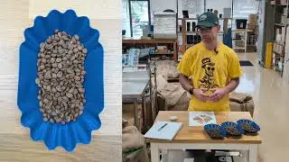 September 2025 Club Coffee - Honduras Washed