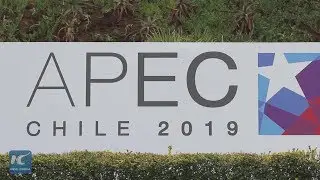 &ldquo;Integration and WTO reform&rdquo; big issues at APEC Forum 2019