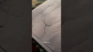 Stylish Alphabet - A 📝 Subscribe for more such Calligraphy videos #growth #moderncalligraphy