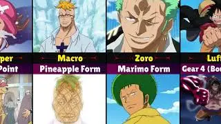 Characters & Their Forms in One Piece