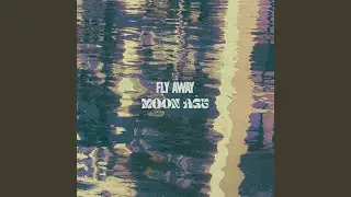 Fly Away