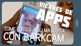 Viernes de Apps: Tome fotos a su mascota con Barkcam. Capítulo 14