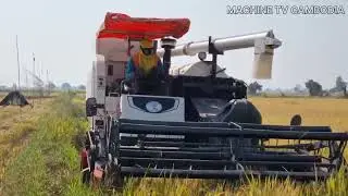 Powerful Kubota DC-105X in Action | Amazing Rice Harvesting in Cambodia