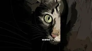 YOUR CAT DOESN'T JUST STARE AT THE DARK! #cat #shorts #catshorts