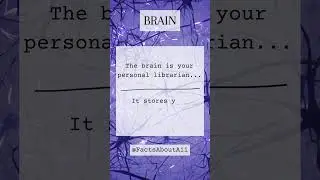 Quantum Cognition: 10 Mind-Bending Facts About Your Brain's Universe! 🌌