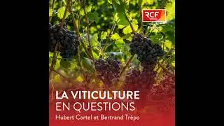 Quelles adapatations pour la fili&egrave;re viticole Bio face &agrave; la crise actuelle ?